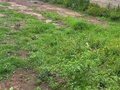 TERRENO EN VENTA, CAPULTITLAN, TOLUCA, MEX. 