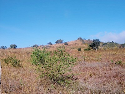 Terrenos ejidales en Berriozábal 