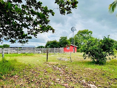 VENTA DE CASA