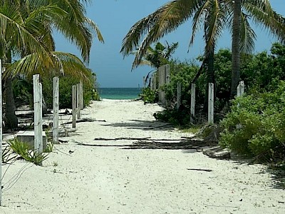 Terreno en Chicxulub Puerto