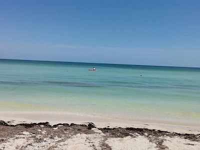 Terreno en venta Chicxulub Puerto km 11.5