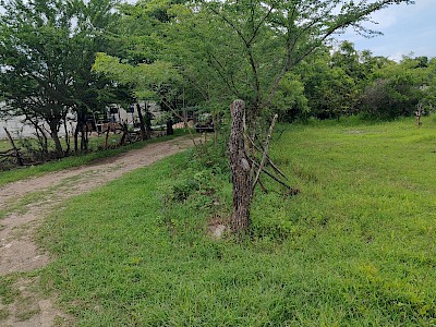 TERRENO EN VENTA
