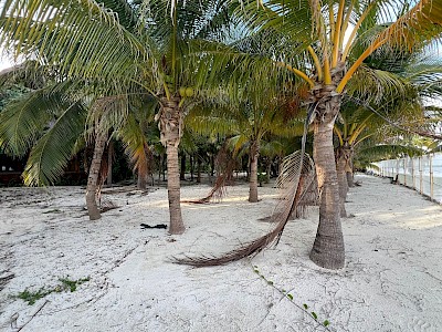 TERRENO EN  VENTA  ZONA  HOTELERA  DE  CANCUN 