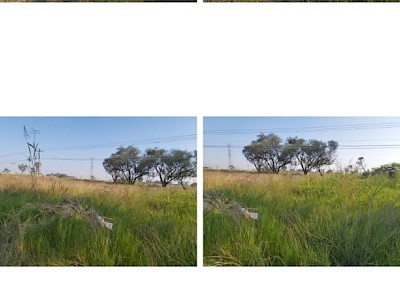 VENTA DE  TERRENO EN CHAPALA    A  PIE  DE CARRETERA 25 HCTS.