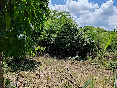 TERRENO EN VENTA