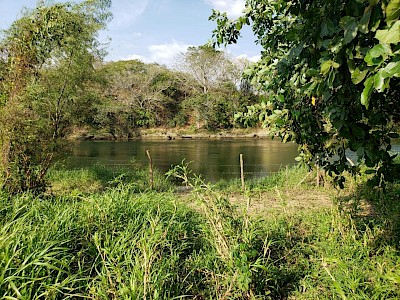 Quinta en venta 