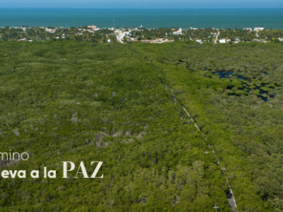 Terrenos en venta en Telchac