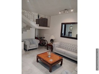 BUGAMBILIAS ZAPOPAN JALISCO