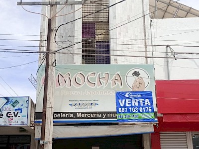 VENTA DE EDIFICIO COMERCIAL EN EL MEJOR SECTOR COMERCIAL DE LA CIUDAD, CALLE ZARAGOZA ENTRE CORREGIDORA Y OBREGON, GUASAVE.