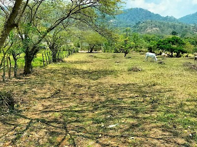 LOTES EN VENTA 