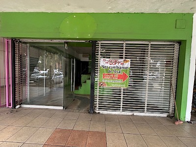 Local condo plaza del sol