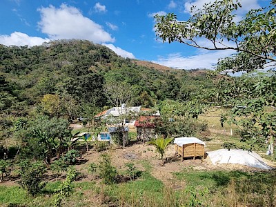 CON FUENTE PERMANENTE DE AGUA, GRAN OPORTUNIDAD EN VENTA DE 16 HECTÁREAS DE SUELO FÉRTIL, HACIENDA VENECIA, MUNICIPIO DE OCOZOCOAUTLA, CHIAPAS. CON AGUA TODO EL AÑO.