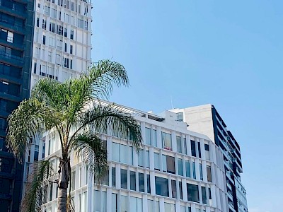 Oficina en renta en edificio Loreta, Lomas de Angelópolis  $70,000 pesos mensuales + mantenimiento 