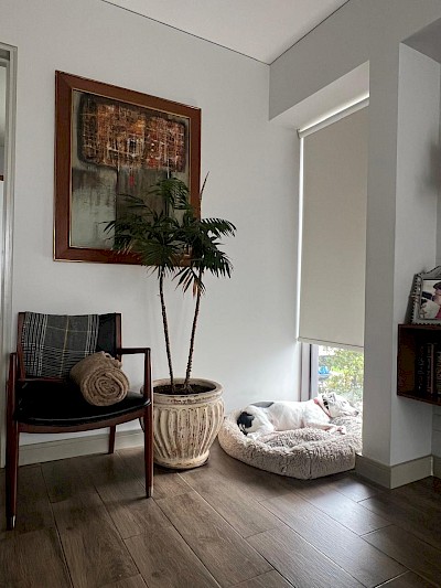 Imagen del inmueble