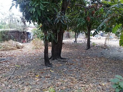 Imagen del inmueble