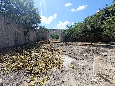 Imagen del inmueble