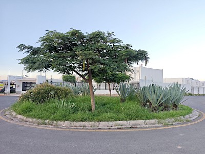 Imagen del inmueble