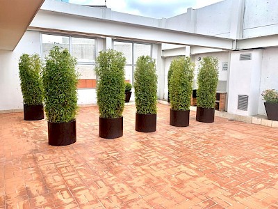 Imagen del inmueble
