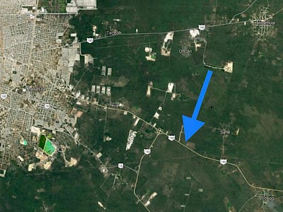 TERRENO EN RENTA SOBRE CARR CANCÚN