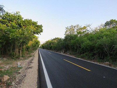 LOTES DE 4,400M2 EN CACALCHÉN, YUCATÁN