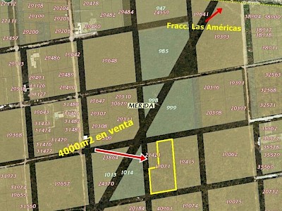 TERRENO DE 4,000m2 EN VENTA EN DZITYÁ